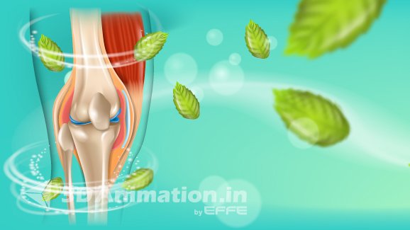 3D Biology Animation 3D Biology Animation