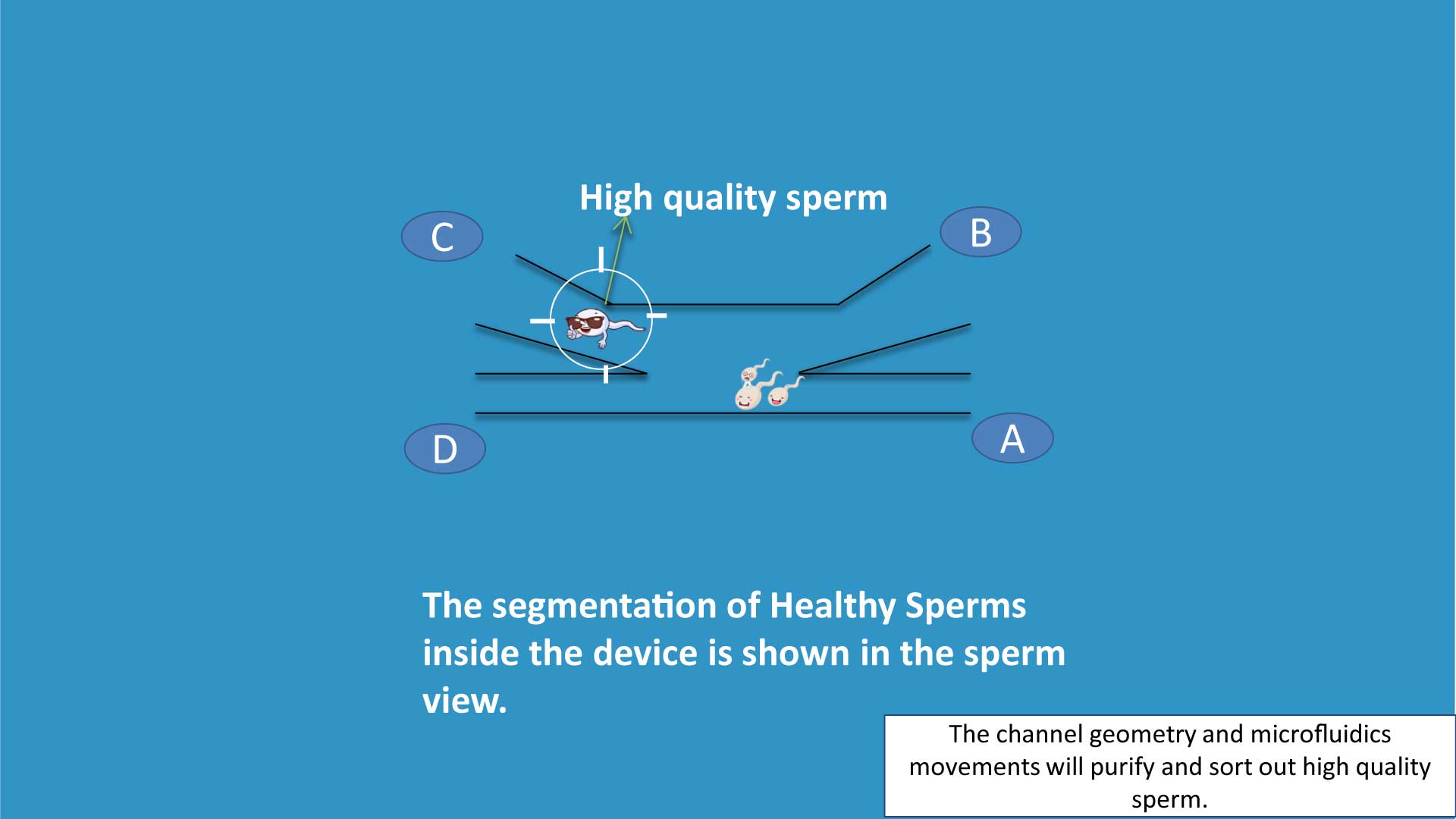 biology animation