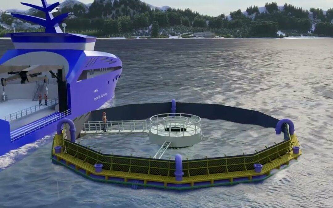 Elevating Aquaculture: Nordic Blu Success with 3D Animation Company