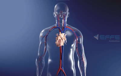 3D Animated Heart Failure Treatment Video: 3D Animation Services