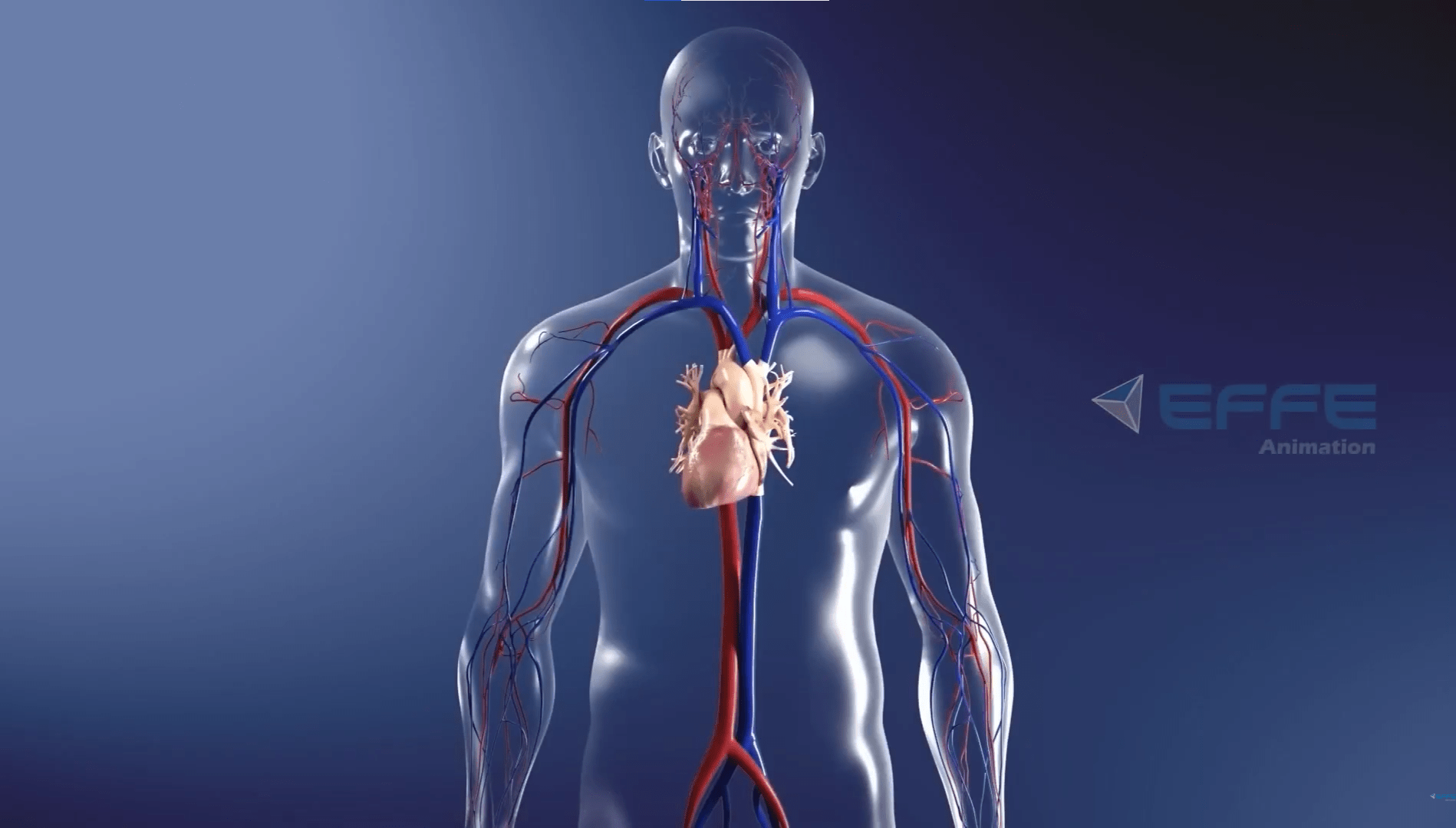 3D Animated Heart Treatment Video
