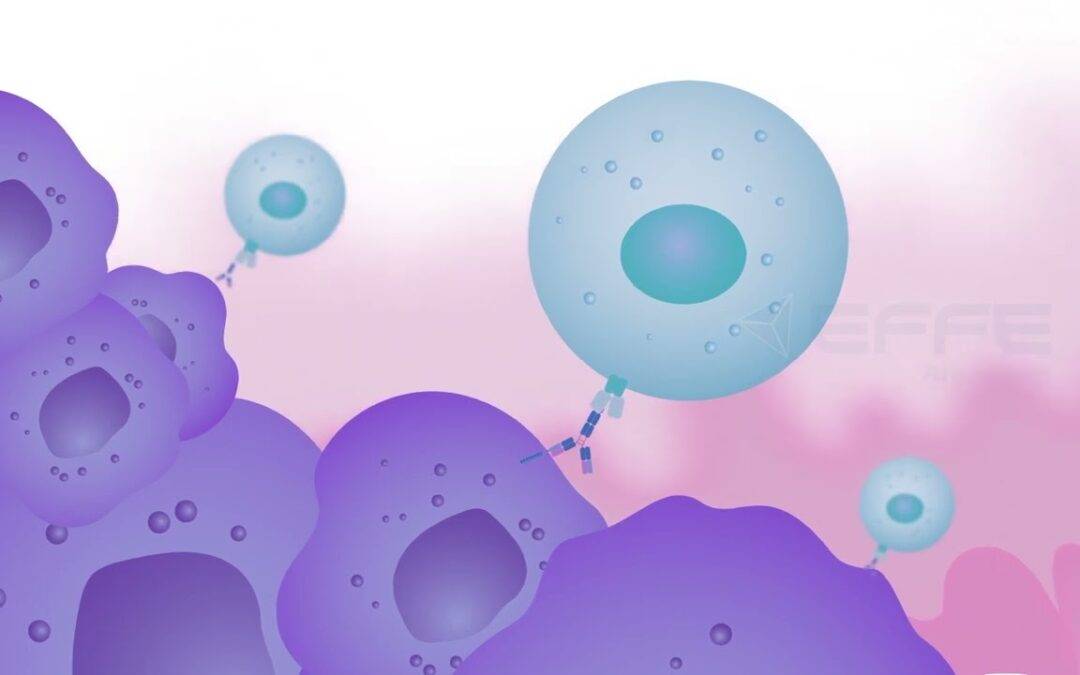 EFFE Animation’s Groundbreaking 2D Medical Explainer Animation Unveils the Complexities of Tumor Cell Biology