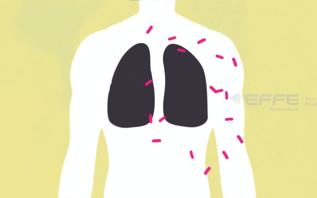 How Do Antibiotics Work in the Human Body – 2D Medical Animation