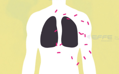 How Do Antibiotics Work in the Human Body – 2D Medical Animation