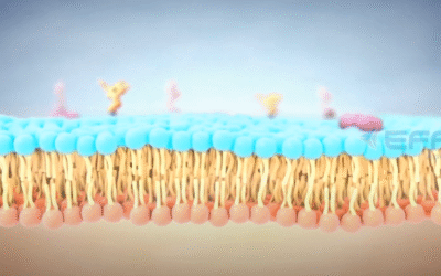 3D Cell Biology Animation for Understanding the Cell Membrane