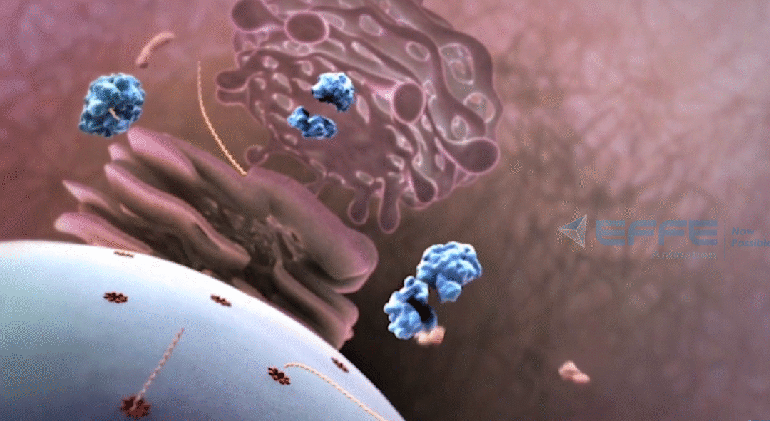 3D Virus Entry Animation for Cellular & Molecular Education