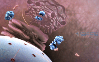 3D Virus Entry Animation for Cellular & Molecular Education