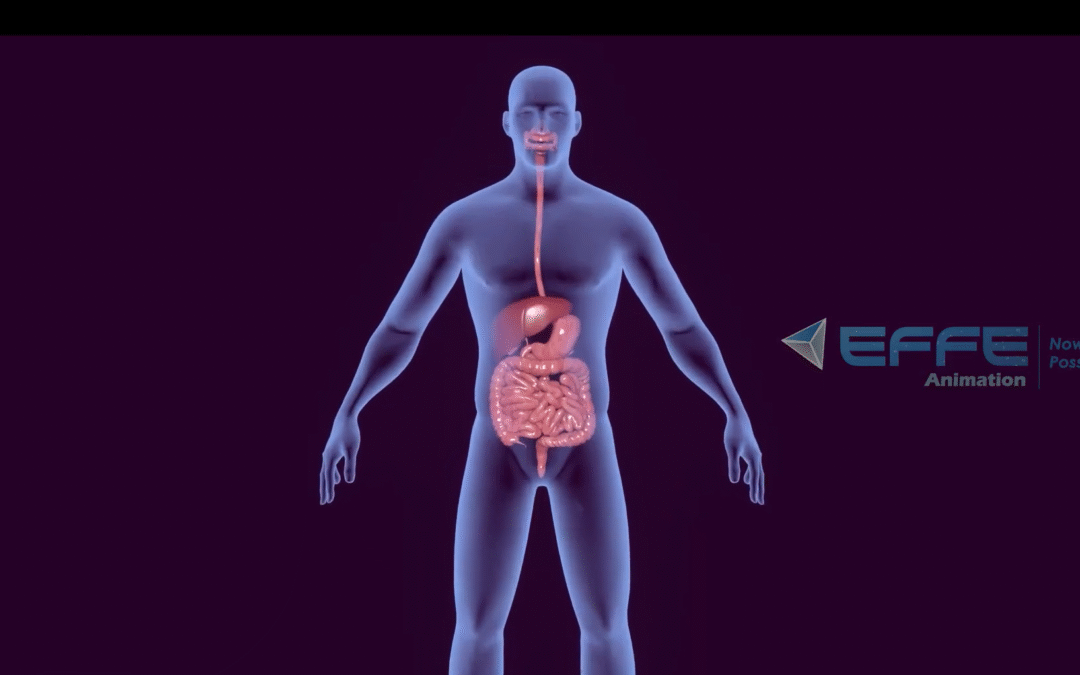 Working of Human Liver – 3D Tutorial with Lung Anatomy Animation & Lungs Structure Animation