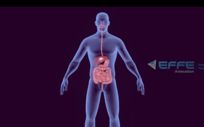 Working of Human Liver – 3D Tutorial with Lung Anatomy Animation & Lungs Structure Animation