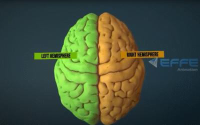 How the Brain Works – Human Brain 3D Animation & Neuroanatomy Brain Tutorial