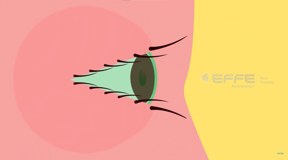 Ophthalmic Anatomy Animation Services Eye 3d Models