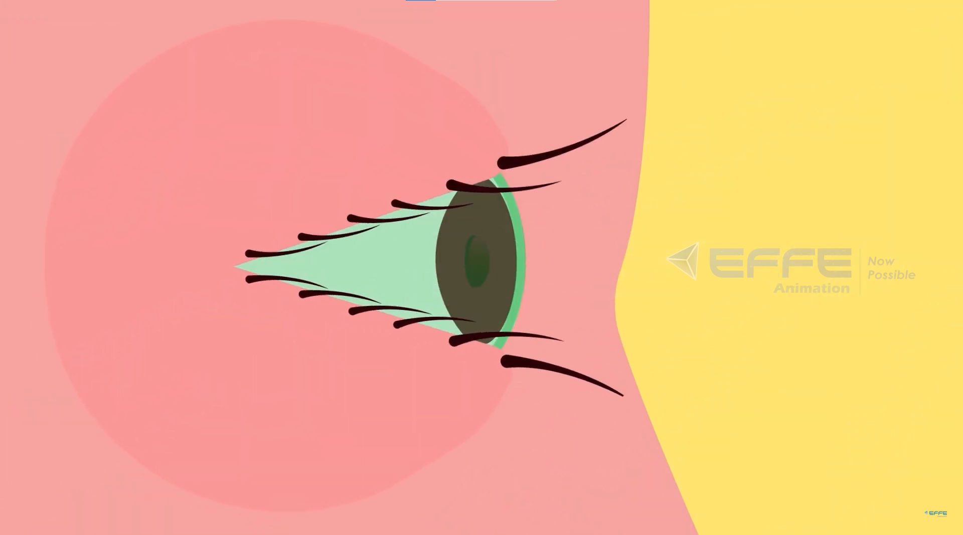 human eye anatomy animation