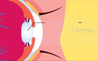 Anatomy of Eye – Ophthalmic Anatomy Animation & human Eye Anatomy Tutorial