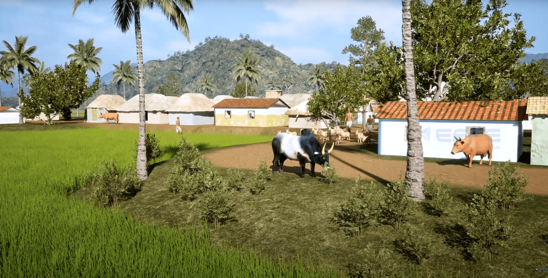 Traditional water harvesting system